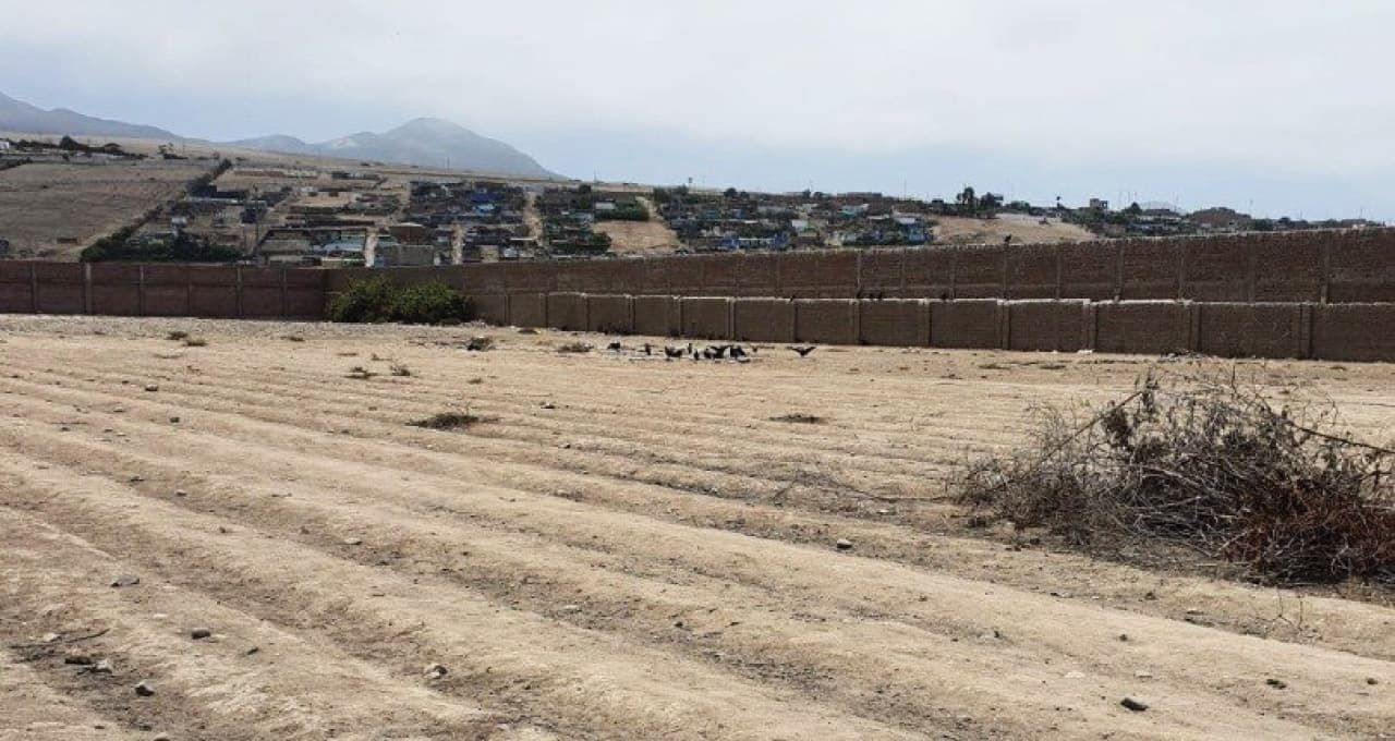 TERRENO EN VENTA 10003 M2 PANAMERICANA NORTE KM 81 – CHANCAY